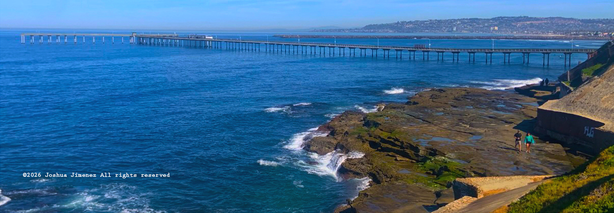 Master barber at work